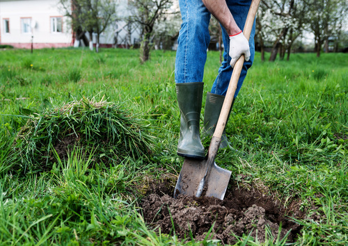 Man digs a hole