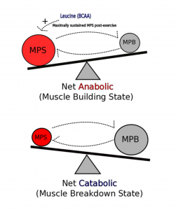 Balance diagram