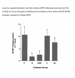 Leucien Supplementation